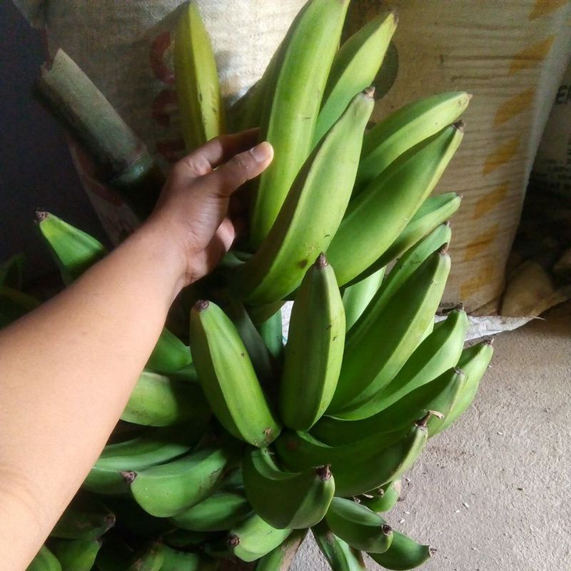 

PISANG RAJA NANGKA SUPER 1KG
