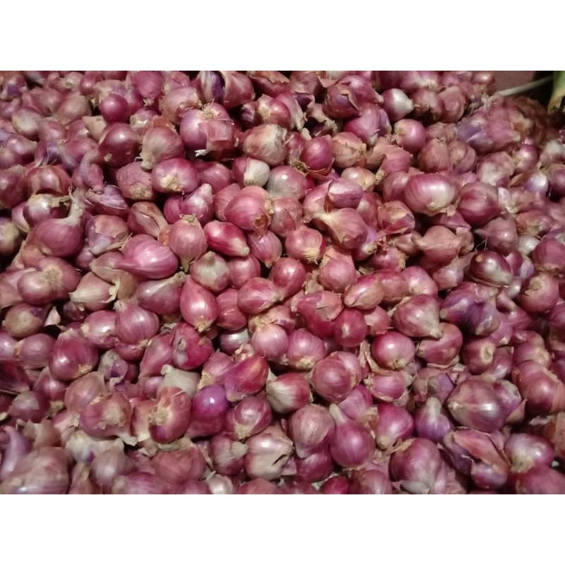 

BAWANG MERAH SUPER