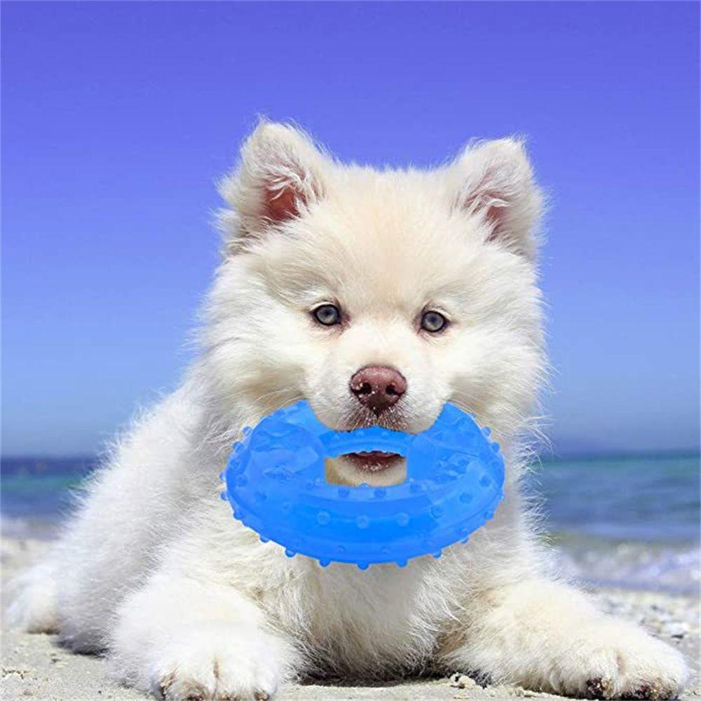 [Elegan] Mainan Gerinda Gigi Menarik Tidak Berbau Freezeable Cool Safety Chew Toys