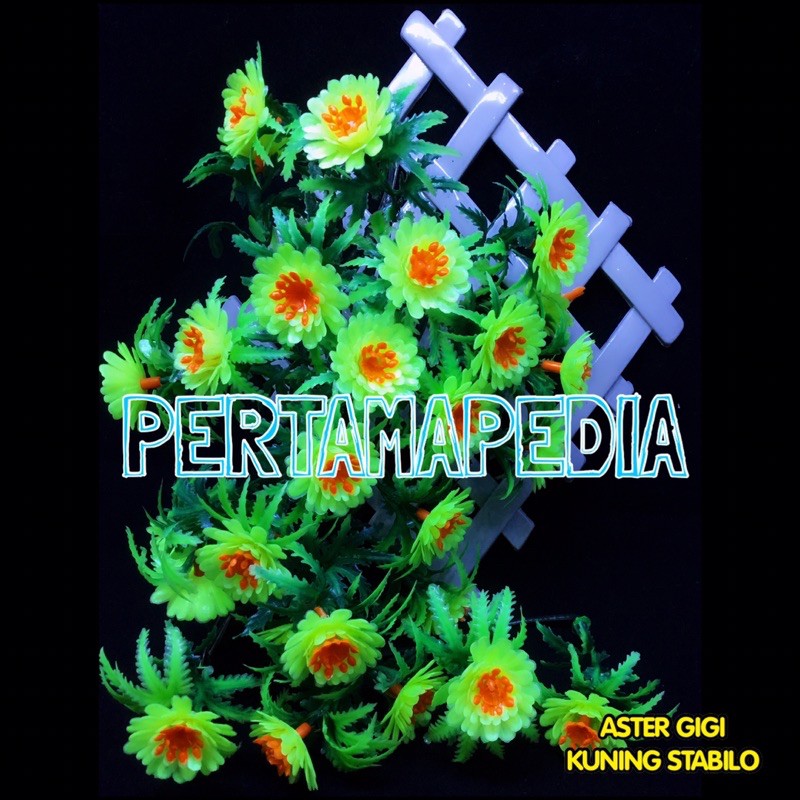 C5 Bunga Aster Gigi/Bunga Plastik/Daun Plastik/Rumput Plastik/Daun Rambat Plastik/Bunga Dekorasi-5