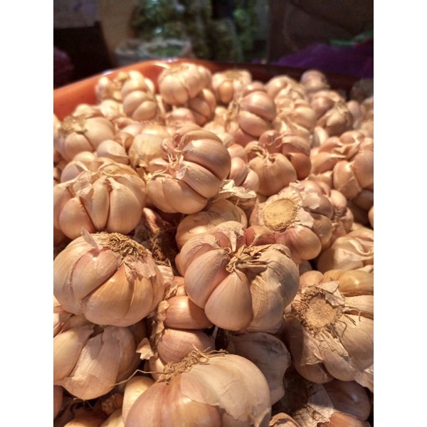 bawang putih 1Kg / bawang / bawang putih murah/bawang murah/bawang /bawang putih