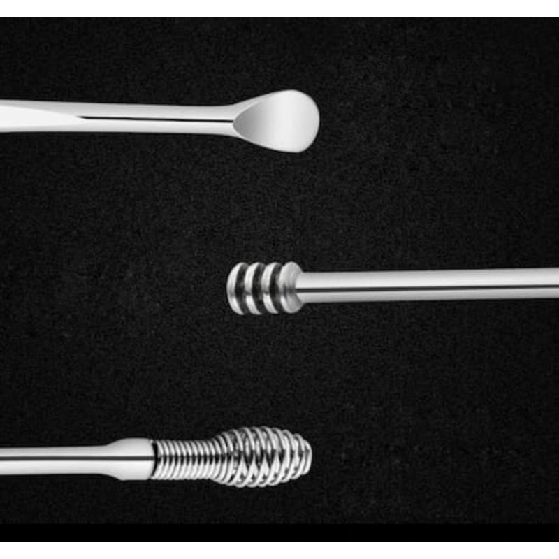 PEMBERSIH TELINGA KOREK KUPING EAR WAX PICKER 1 SET ISI 6 PCS / KOREK KUPING STAINLESS - BENUA DUNIA