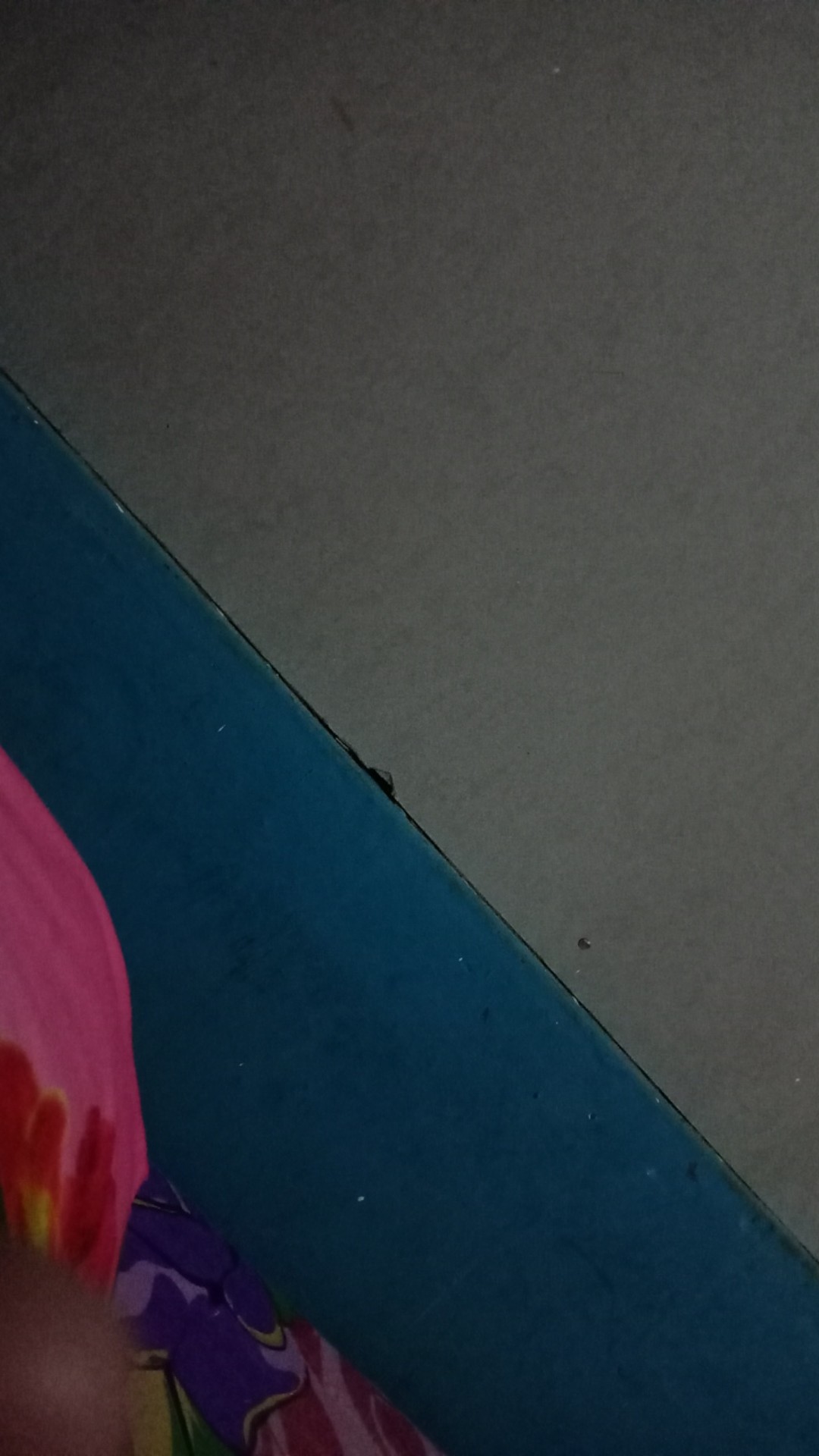 Seni Bonsai Indonesia