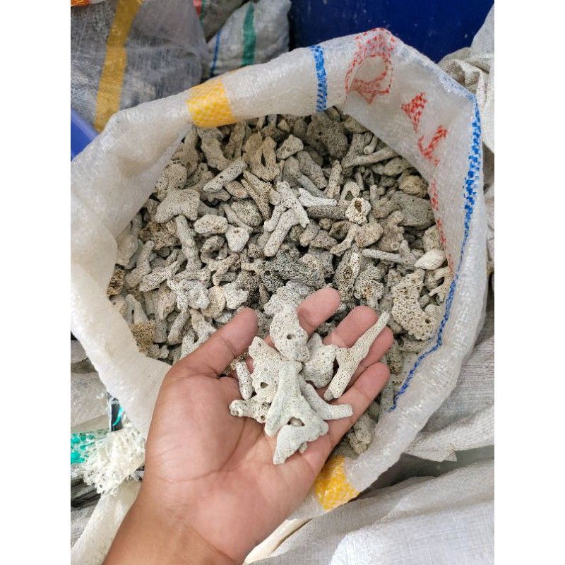 KARANG JAHE,MEDIA FILTER 1 kg