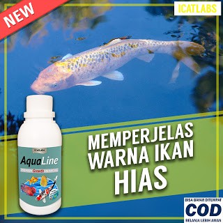 [A1] AQUALINE PAKAN WARNA IKAN AQUARIUM IKAN HIAS IKAN ARWANA IKAN LOUHAN IKAN KOI ARWANA IKAN KOKI