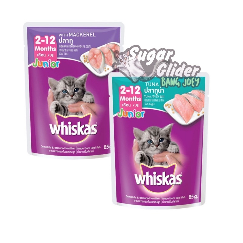 WHISKAS JUNIOR POUCH KEMASAN SACHET WET FOOD 80gr tuna salmon MAKANAN KITTEN