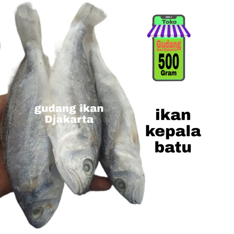 

ikan asin kepala batu netto-500g
