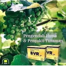 Natural BVR Original Nasa - Pengendali Hama - Pembunuh Hama - Obat Hama Murah Terbaik Terlaris