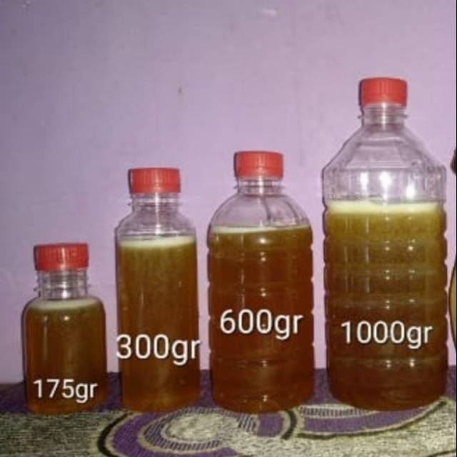 

Hadir..!! Aneka varian madu murni