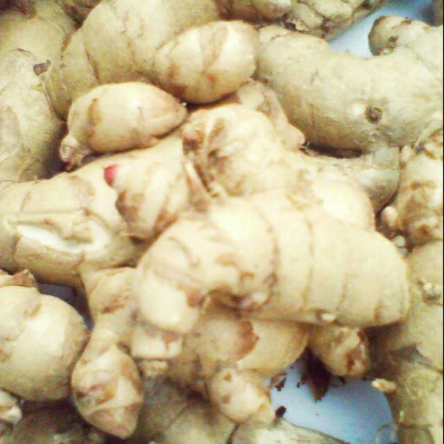 

Temu putih / Kunyit putih Herbal 1 kg