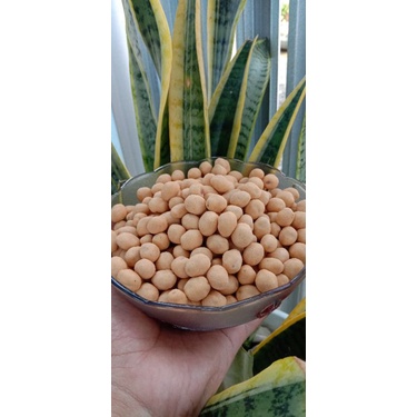 

kacang atom atau kacang oven 250 gram