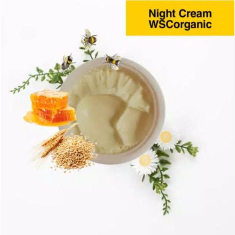Cream malam Acne WSC.Organic 10gr