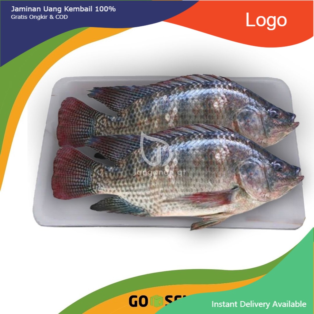 

IKAN MUJAER NILA FRESH SURABAYA