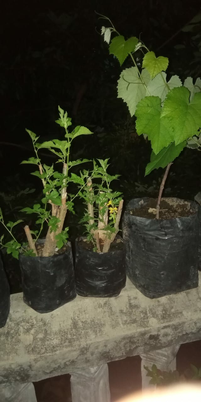 Rak Tas Gantung Mika Tebal  0,20