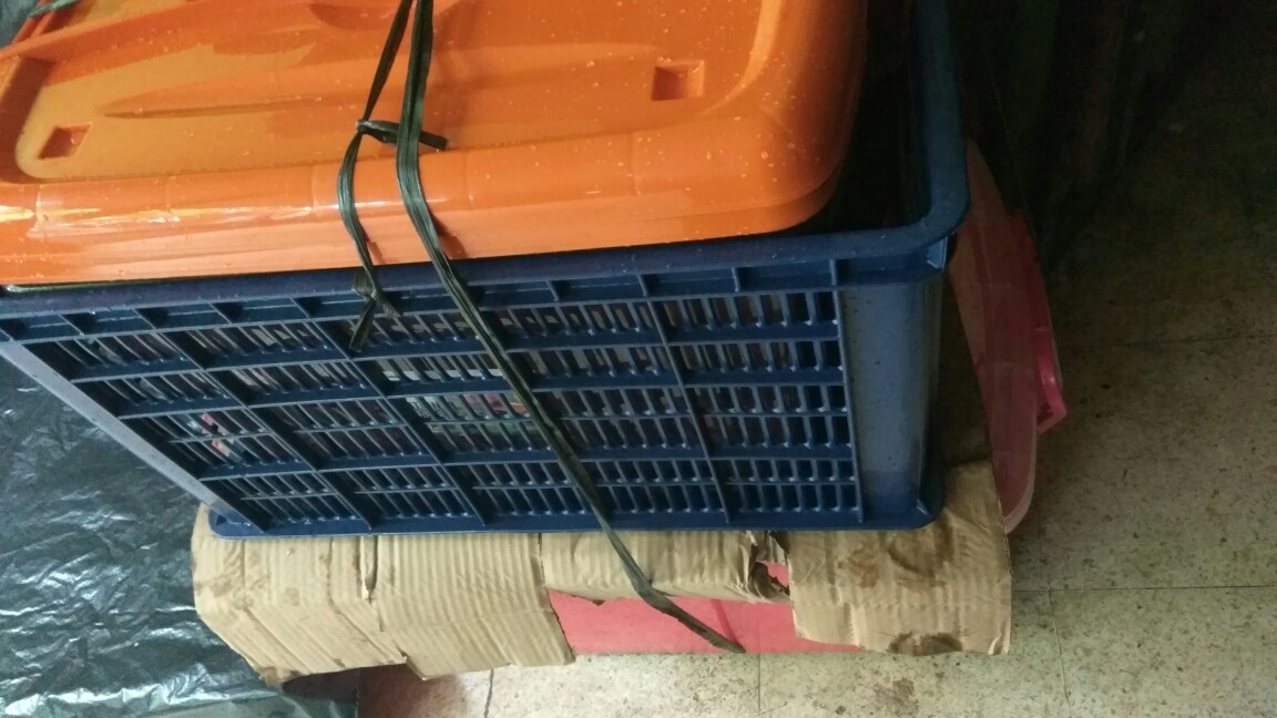 Krat Industri 80 Liter / Keranjang Serbaguna / Krat Multifungsi / Krat Industri 80l