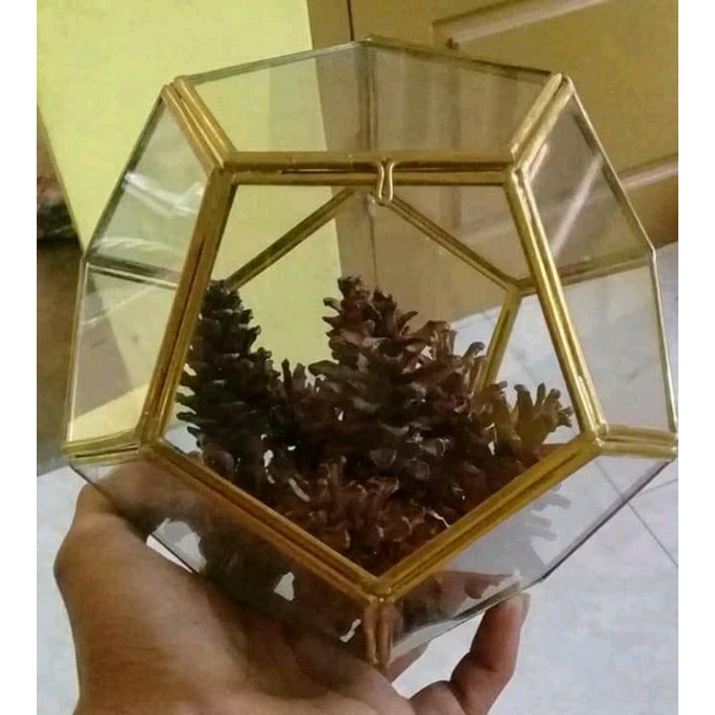 Terarium ringbok Wedding Mahar Seserahan