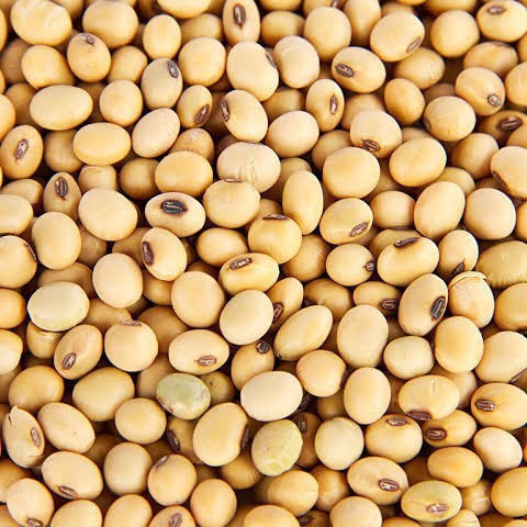 

Biji - Kacang Dapros (250gr)