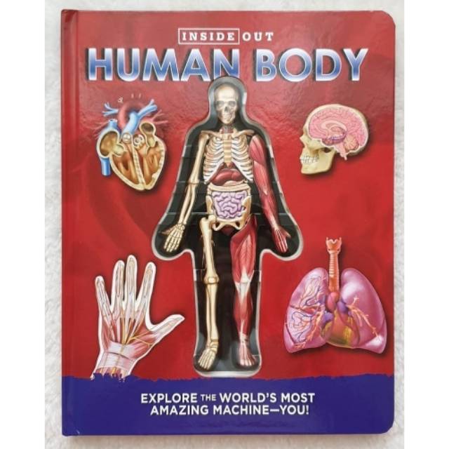 Buku Inside Out Human Body