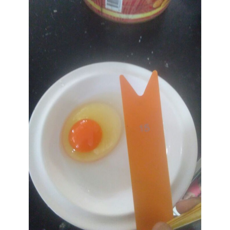 

telur omega