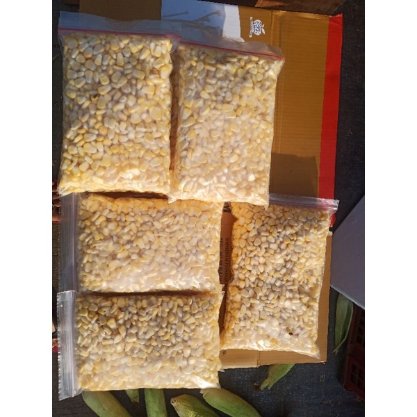 

Jagung Manis ( pupil ) Fresh.
