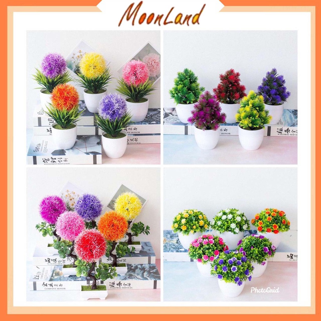 MoonLand 216 COD POT BUNGA DEKORASI TANAMAN HIAS RUMAH PLASTIK FLOWER CANTIK