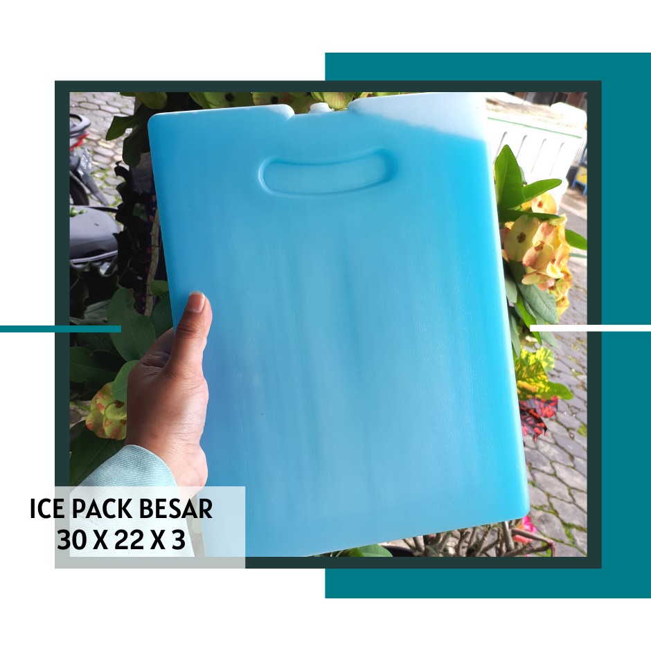 blue ice packs for coolers