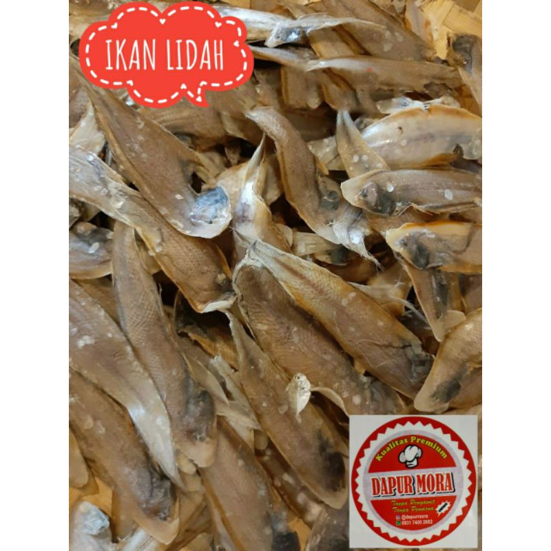 

Ikan Asin Lidah 250 gram ASLI MEDAN Free Packing