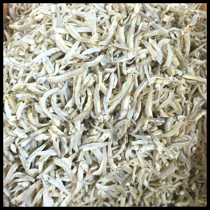 

Ikan Teri Buntiau Medan 1Kg