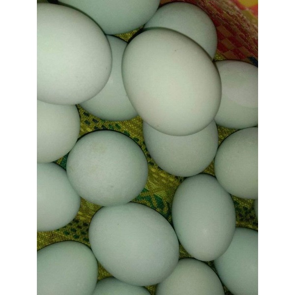 

Telur asin matang