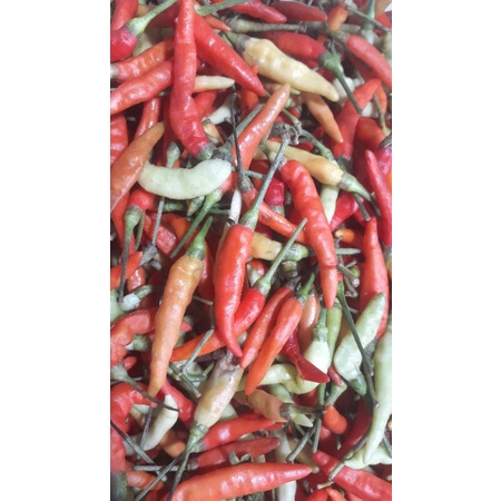 

cabe rawit 1kg