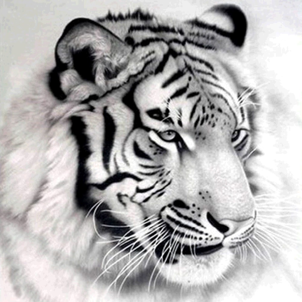 Diy Lukisan Diamond 5d Dengan Gambar Harimau Dan Hiasan Berlian