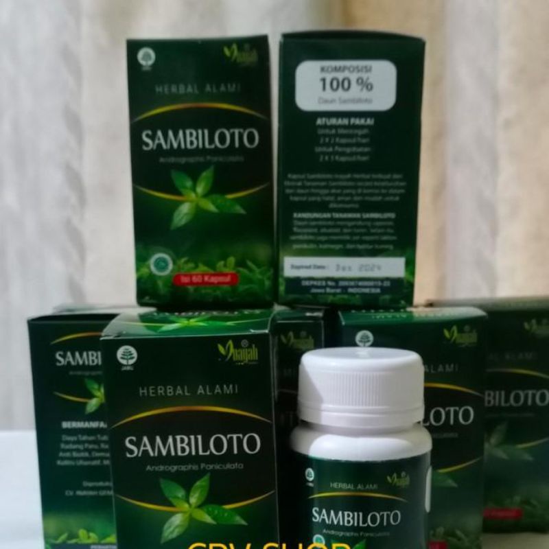 SAMBILOTO KAPSUL [INAYAH] – HERBAL OBAT FLU HYPERTENSI MENURUNKAN KOLESTEROL