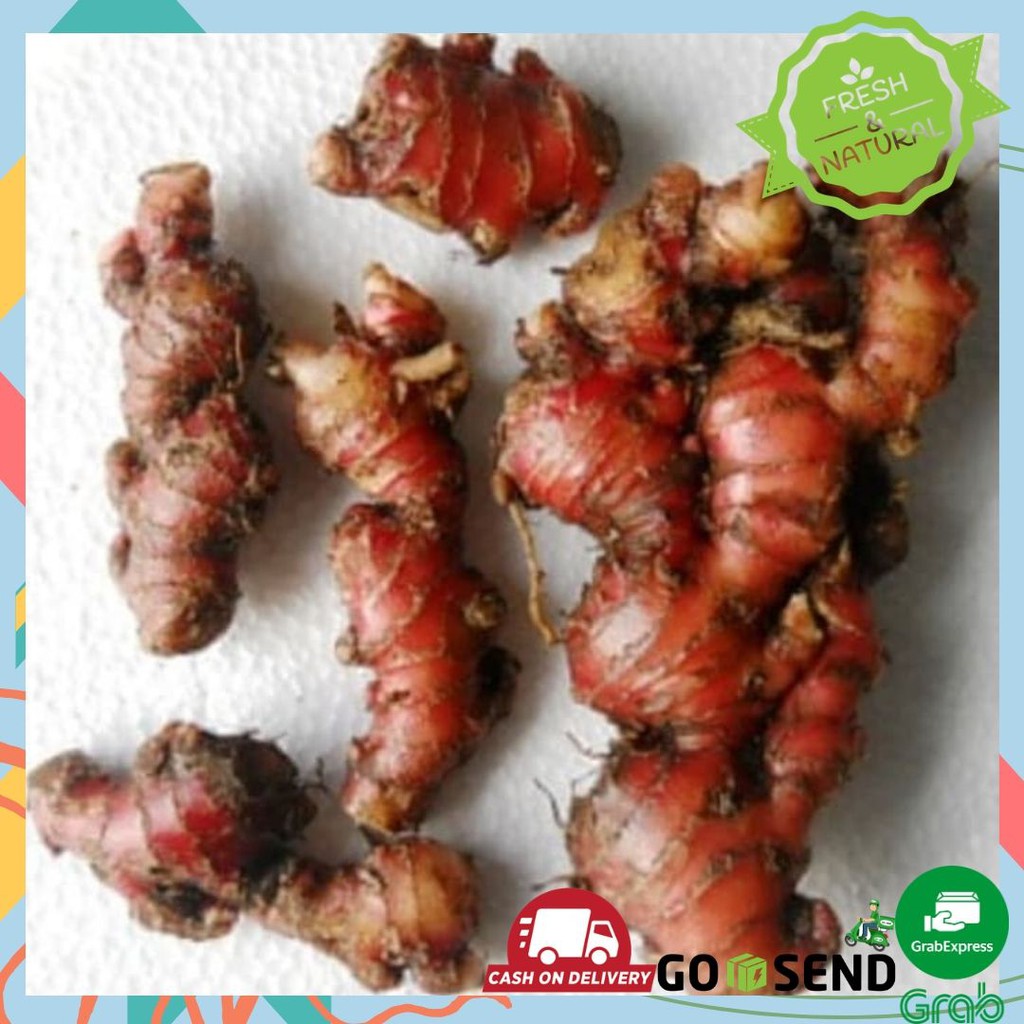 

JAHE MERAH BUMBU DAPUR