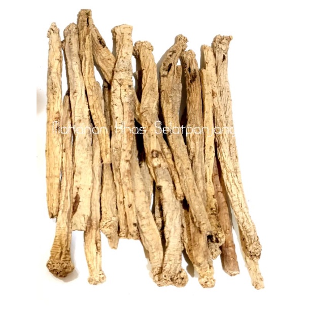 

Tong Sem/Dang Shen（党 参）Eceran 100Gram Made Cina