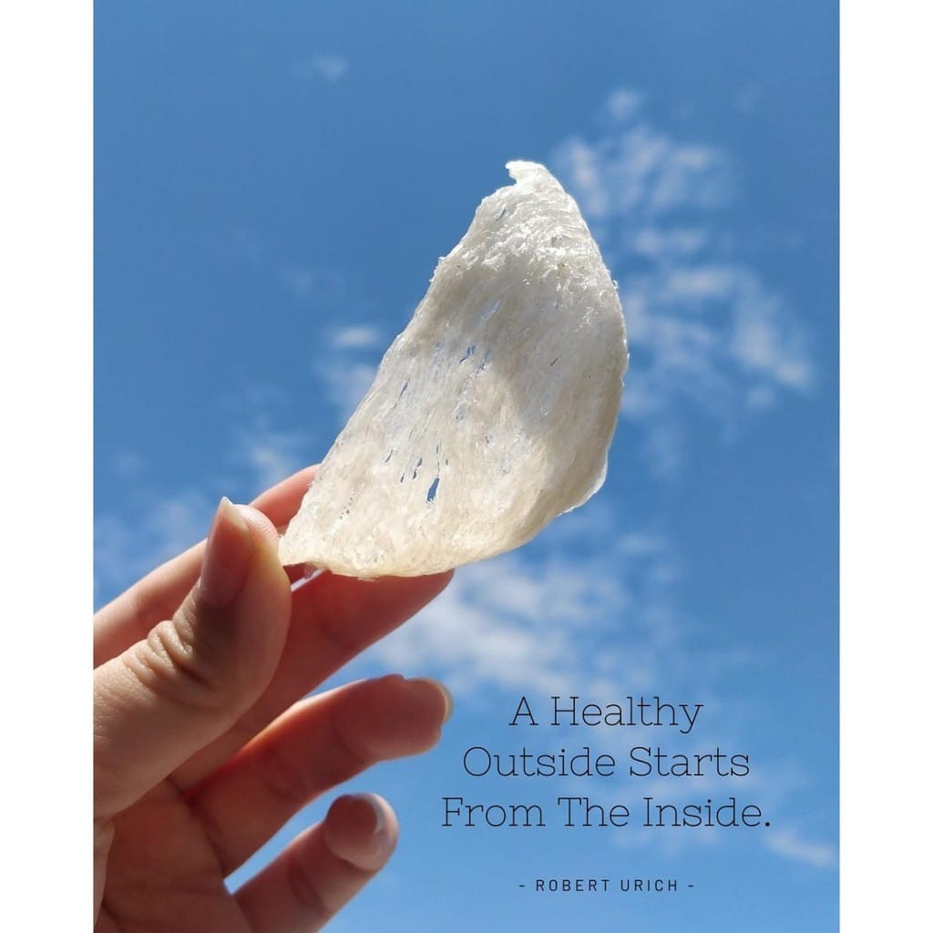 

BIRD NEST/SARANG WALET KONSUMSI 20GR /3Sarang