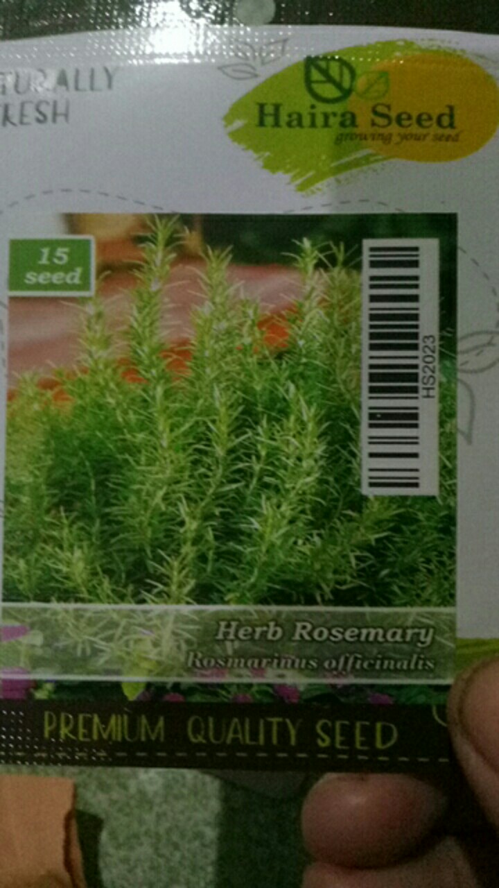 Benih-bibit Zucchini (mix Garden)