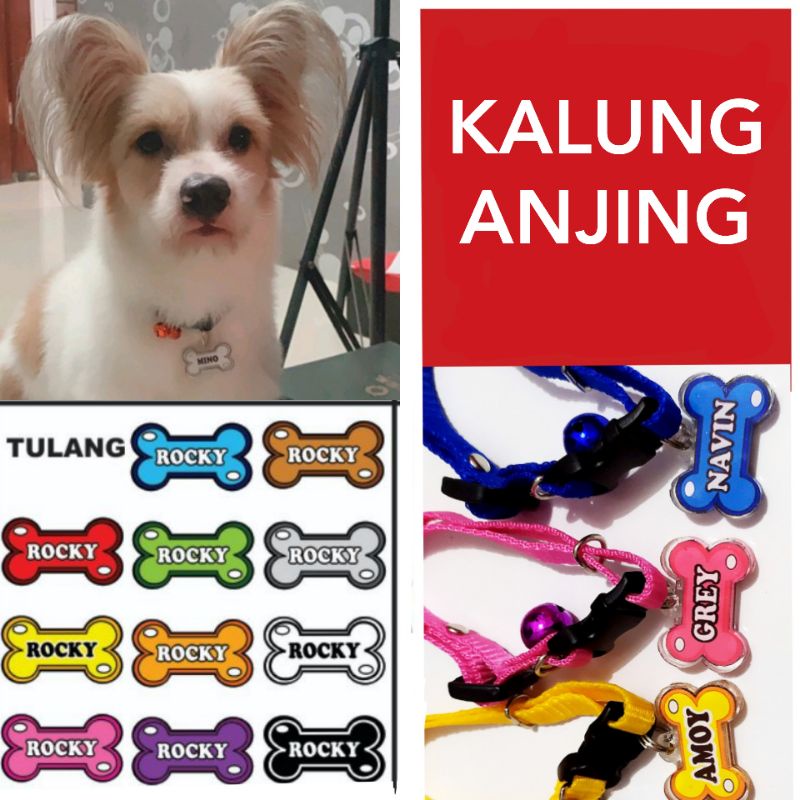 Kalung ANJING (Lonceng 2 + Nama + Kalung)