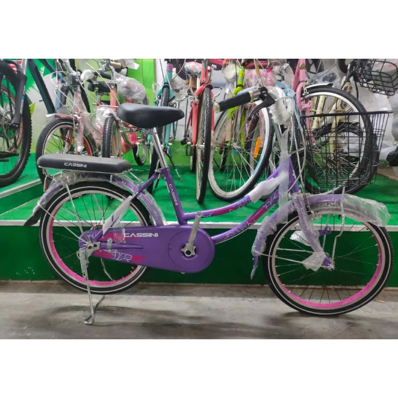 sepeda keranjang 20 inch Trex Cassini sepeda mini