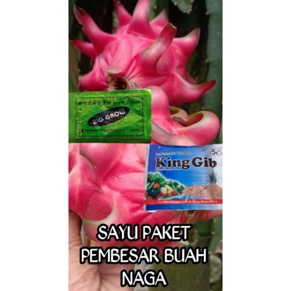 satu paket pembesar buah naga BIG GROW & KING GIB