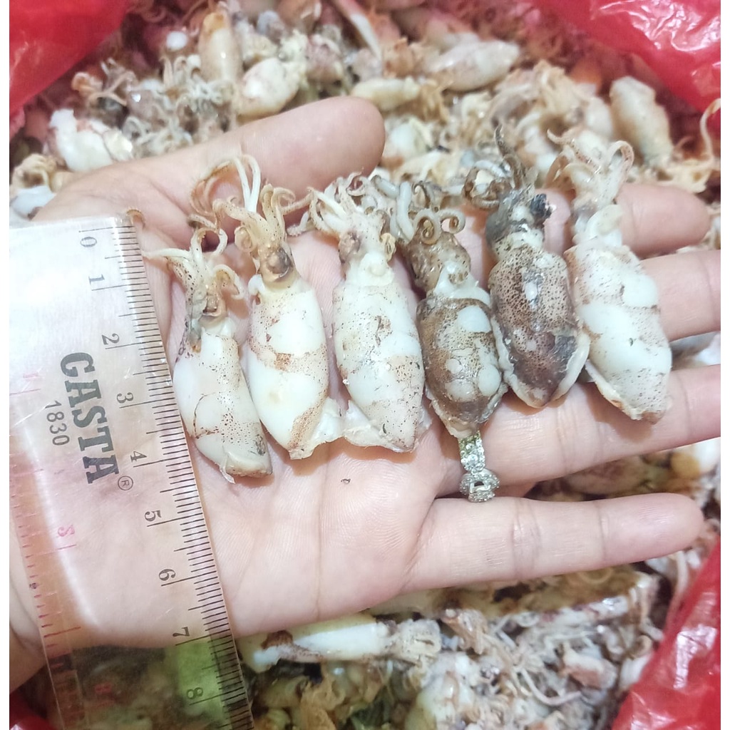 

IKAN ASIN BABY CUMI 2 - 4 CM PREMIUM 500 GR