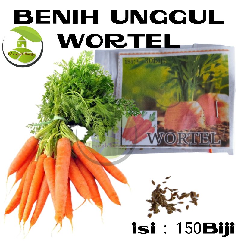 150Biji - Benih Sayuran Wortel Benih Bibit Sayur Wortel