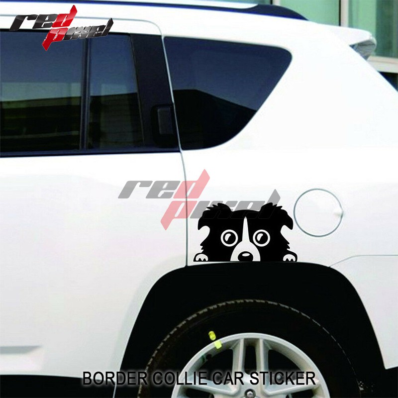 STICKER MOBIL LUCU ANJING BORDER COLLIE