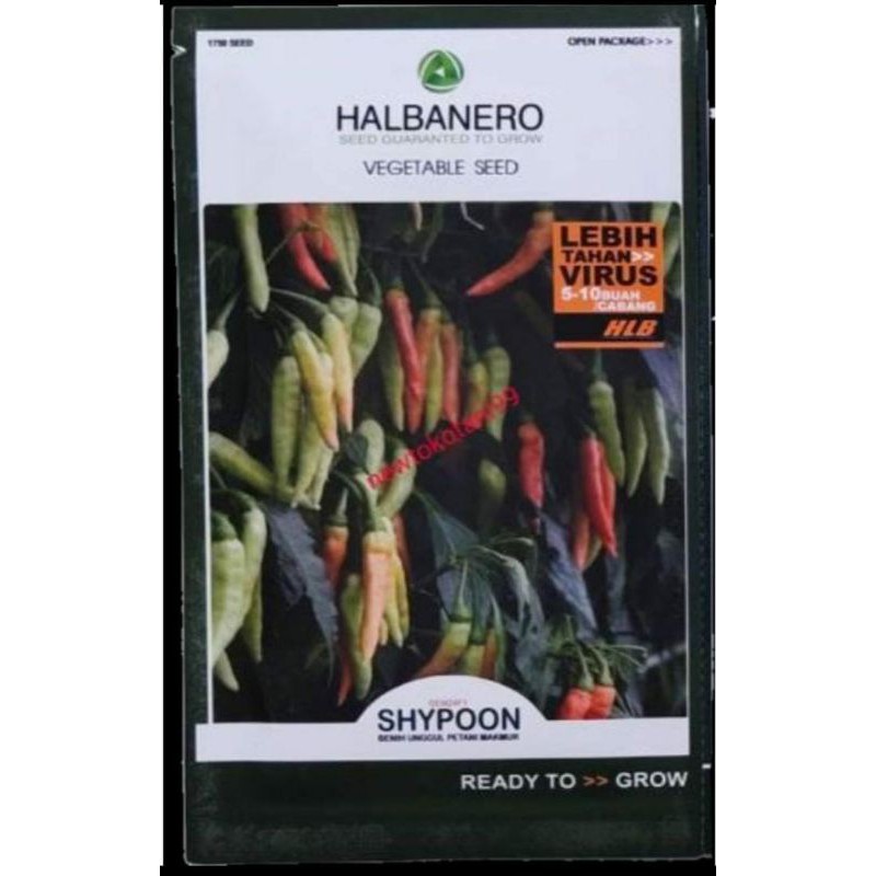 Benih Cabe Rawit Shypoon F1 Isi 10 Gram