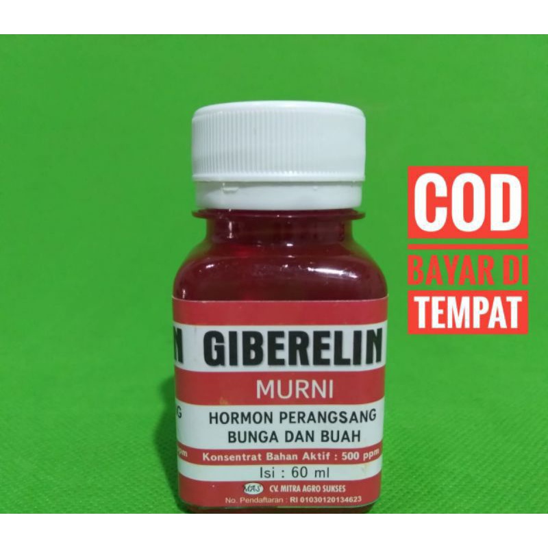 Hormon giberelin zpt buah zat kemasan 60ml