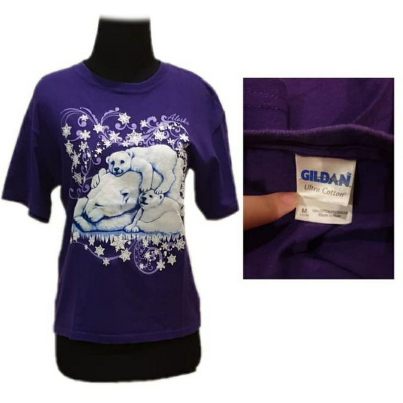 GILDAN ULTRA COTTON ICE BEAR SIZE M