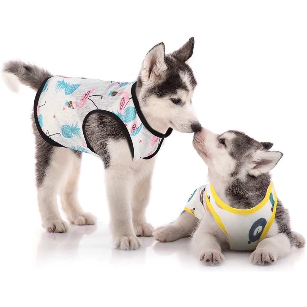 Dog/Cat/Anjing/Kucing Cute Summer Vest/ Baju Summer Lucu