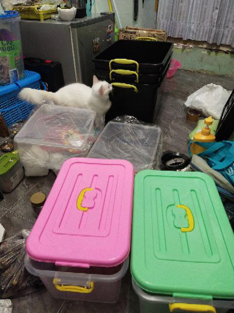 Box Donat Jumbo / Tempat Kue Donat Jumbo