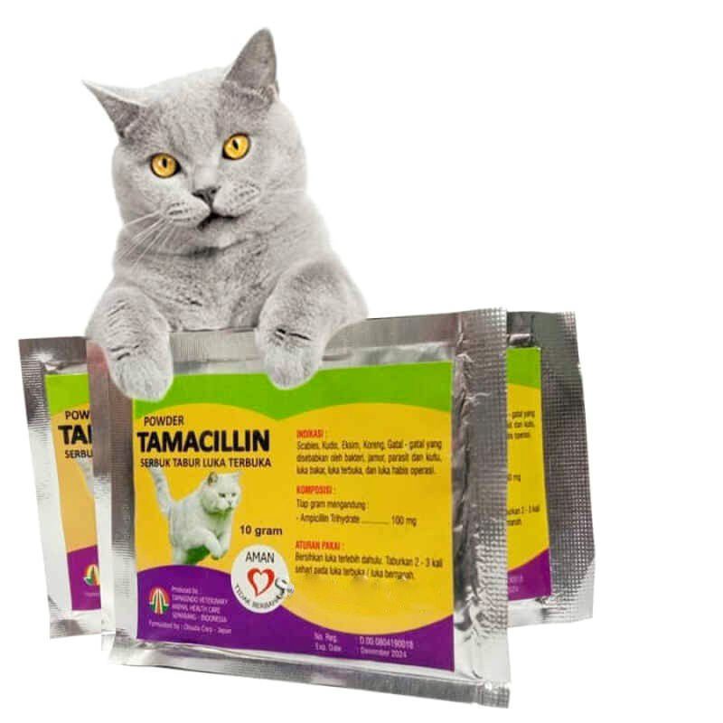 Tamacillin Obat Kucing Luka Terbuka Infeksi Bernanah Abses