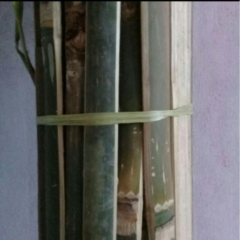 Bambu belah/penyangga tanaman/pagar panjang 100cm