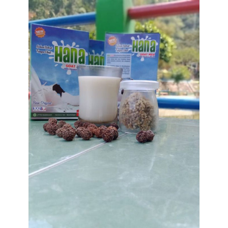 

HANA SUSU KAMBING ETAWA